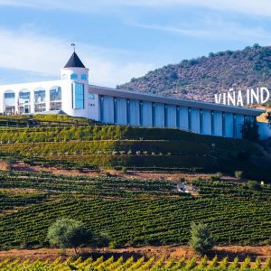 Casablanca Wine Experience: Casas del Bosque & Custom Boutique Winery