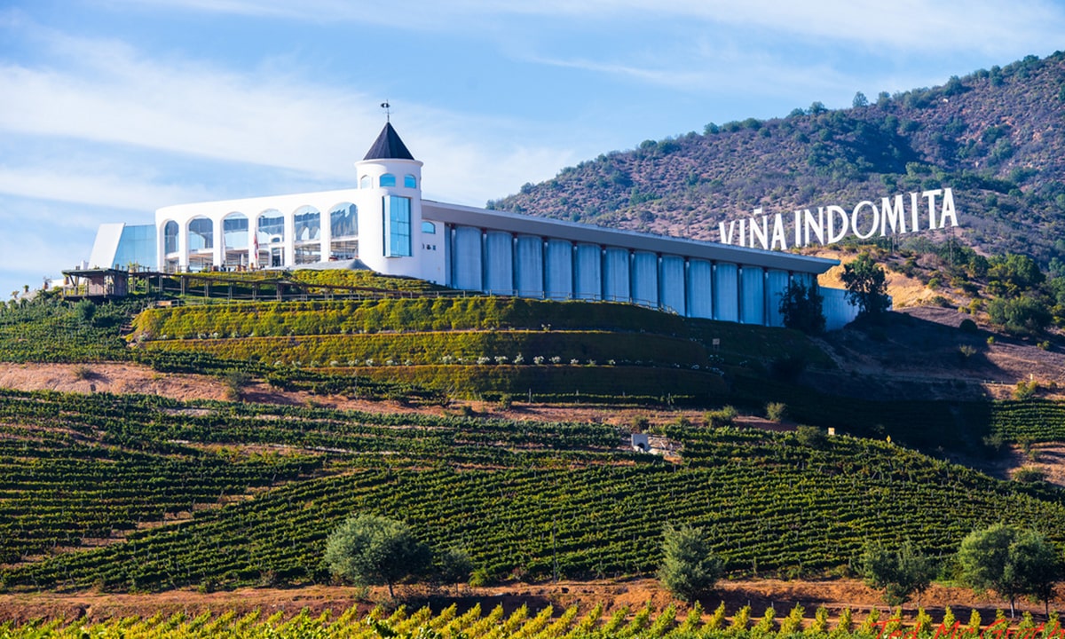 Casablanca Wine Experience: Casas del Bosque & Custom Boutique Winery