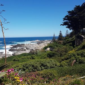 Isla Negra, Algarrobo & Coast: Poetry, Wine & Ocean Views