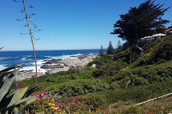 Isla Negra, Algarrobo & Coast: Poetry, Wine & Ocean Views