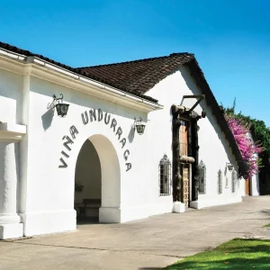 Undurraga: Traditional Tour