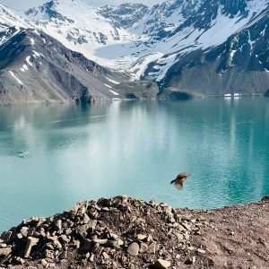 Embalse El Yeso (Cajón del Maipo & Pícnic)